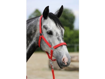 6613 3000 moodpictures 1 63134