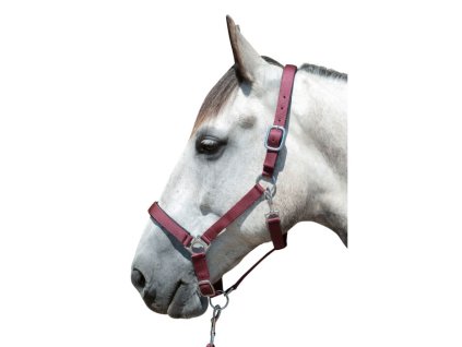 Měkce podložená ohlávka STARS SOFT HKM – vínová