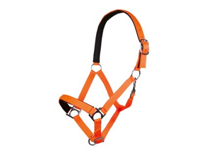 Ohlávka Stars Softice SOFT HKM – neonově oranžová