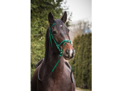 BIOTHAN uzdecka gumove oteze 0601202013270822430