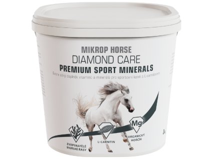 stažený soubor (1)