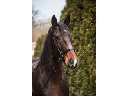 Kozena bezudidlova uzdecka TAMARA 0601202013131837435