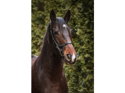 Anatomicka uzdecka ve stylu MICKLEM cerna 0601202013095427304