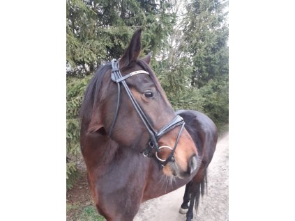 Kozena uzdecka z kulate kuze JULIKA 0601202013334062848