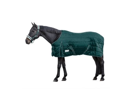 Stájová deka EKONOMIC, 200 g (Barva jedle zelená, Velikost 125 cm)