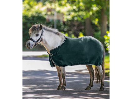 Deka proti hmyzu síťovaná Economic Waldhausen (Barva jedle zelená, Velikost 115 cm)