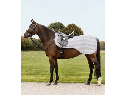 Bederní jezdecká deka proti hmyzu Economic (Barva stříbrně šedá, Velikost PON)