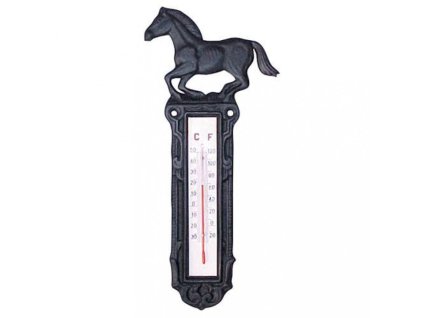 Litinovy teplomer 060320200949105811