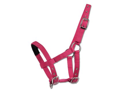 Ohlávka Mini-Shetty Waldhausen (Barva azalka)