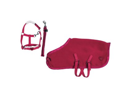 Starter set -Cuddle Pony HKM