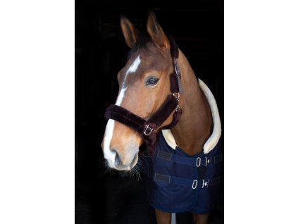 kentaur ohlavka mink hneda cob