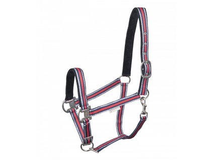 Ohlavka Rose Shine Waldhausen 260420211153454114