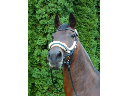 Uzdecka ve stylu MICKLEM s berankem 2109202115330852971