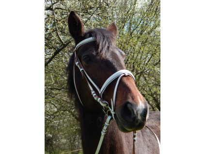 Kozena uzdecka vcetne kozenych otezi bila 1805202316034865541