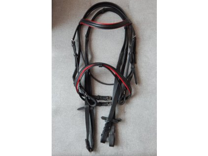 Kozena uzdecka vcetne otezi cervene podlozeni 180520231600064987