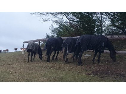 8e2677e7 d649 4f18 9853 ad0ee41542dc