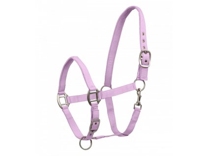 Ohlavka SATIN orchid 2302202211042763325