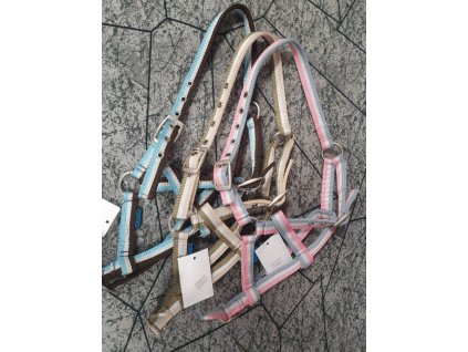 Ohlavka pro hribe pruhovana 080320231155016333