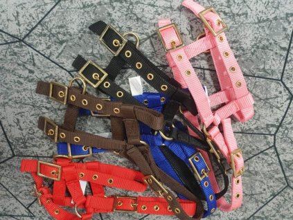 Ohlavka nylonova MINISHETTY 0803202312011680471