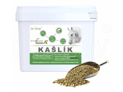 Dromy Kaslik A s vyvazovacem mykotoxinu 2 1kg 1202202517181349882