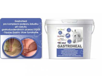 GastroHeal CONCENTRATE 3 kg - 60 DENNÍCH DÁVEK  ochrana sliznice, hojení a stabilizace trávení koní s žaludečními vředy.