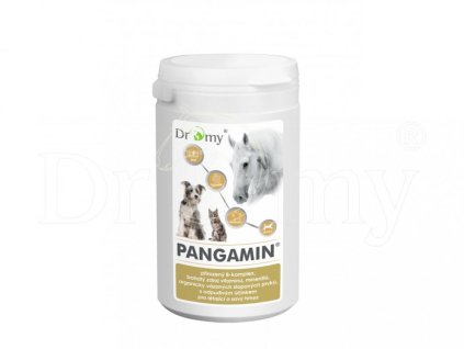 DROMY Pangamin  2000 tablet