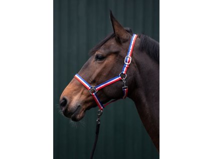 Nylonová ohlávka Budapešť HKM