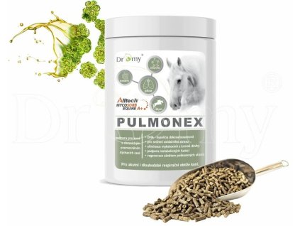 DROMY Pulmonex 1 5 kg 1202202516582847340