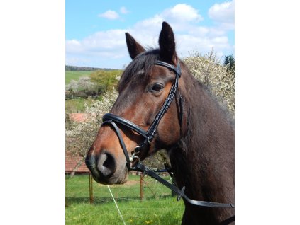 Kozena uzdecka cerna vcetne otezi 1805202316185843950