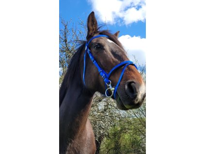 Uzdecka BIOTHAN modra bez otezi 2205202313171770645