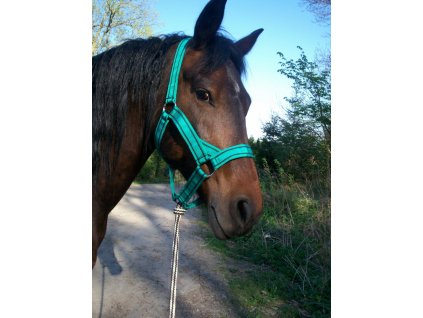 Ohlavka CHLADNOKREVNIK pevna 0205201222061324964