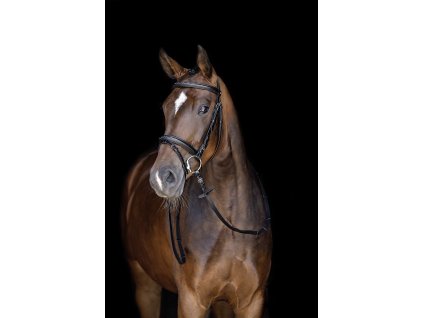 Kožená uzdečka Jana HKM