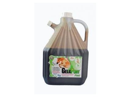 Gelapony Fast Biosol 3000ml 1302202410540741720