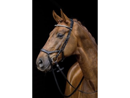 Anatomická kožená uzdečka HKM Anatomic Pro – černá