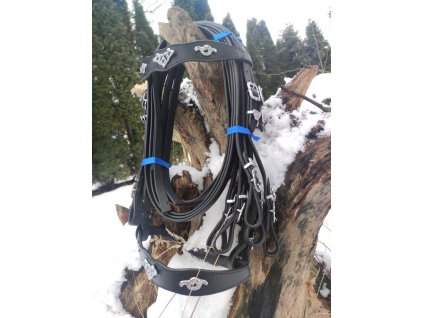 Barokni uzdecka 2 pary otezi poprsak podocasnik 2501202216313512484