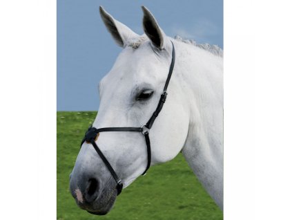 Mexicky nanosnik kozeny Waldhausen 1803201311151598184