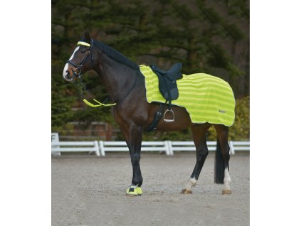 Vesta reflexní Waldhausen (Barva neonově žlutá)