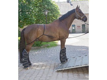 Popruh trasportní, pomoc při nákládání koně Waldhausen (Barva černá)