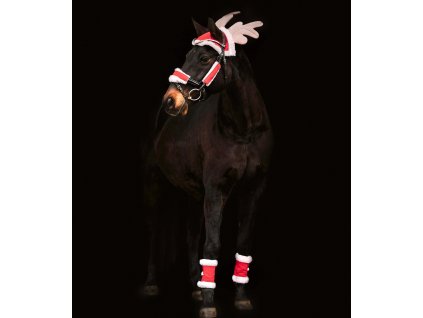 Vánoční set pro koně Waldhausen