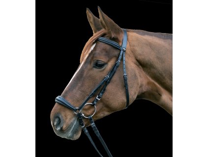 Uzdečka Star Hannover Waldhausen (Barva černá, Velikost PON)