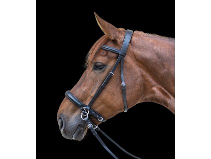 Uzdečka bezudidlová Star Waldhausen (Barva černá, Velikost PON)