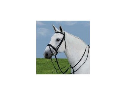 Martingal STAR 1812201114224033781