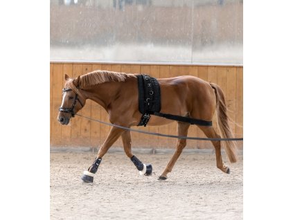 Lonžovací popruh pod zadní nohy (Barva černá, Velikost VB/WB)