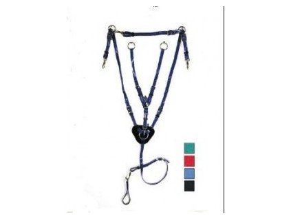 Barevnpoprsniky s odnimatelnou martingalovou vidlici DASLO 0311201414194397205