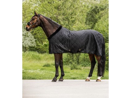 Přepravní deka Exclusive, 50 g (Barva černá, Velikost 125 cm)