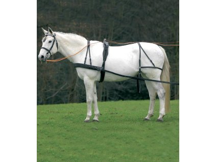 Postroj poprsní Economic, kůže, VB a WB (Barva černá, Velikost VB)