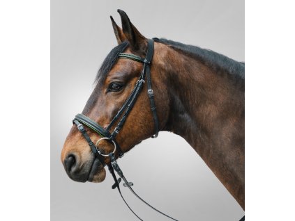 Uzdečka Star Diamond Waldhausen (Barva zelená, Velikost MSH)