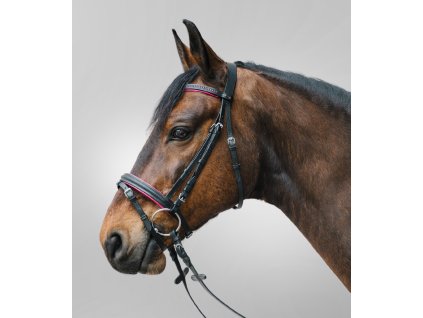 Uzdečka Star Diamond Waldhausen (Barva fuchsie, Velikost MSH)