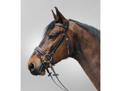 Uzdečka Star Diamond Waldhausen (Barva hnědá/zlatá, Velikost MSH)