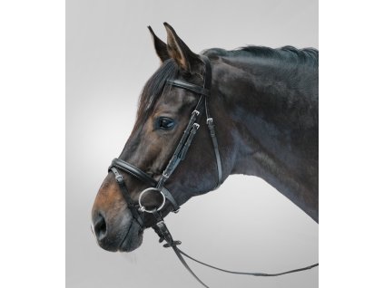 Uzdčka Lifestyle Waldhausen (Barva černá/černá, Velikost MSH)